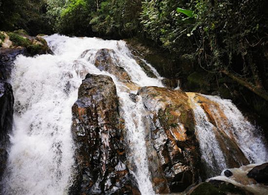 malaysia/cameron-highlands/landmark/robinson-falls