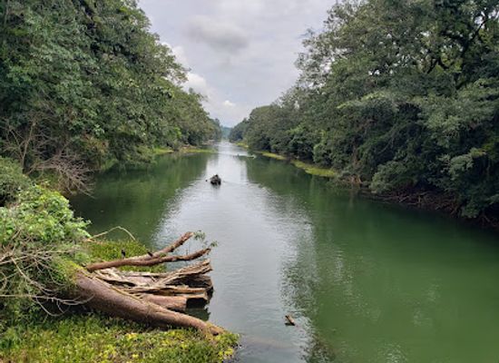 honduras/aguan-valley/landmark/parque-eco-arqueologico-los-naranjos