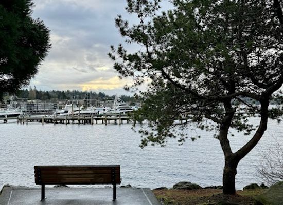 washington/kirkland/landmark/marina-park-dock