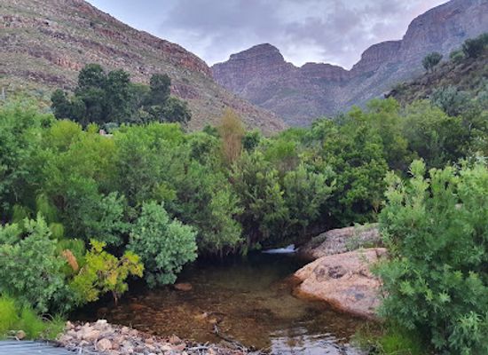 south-africa/cape-winelands/landmark/cederberg-wilderness-area