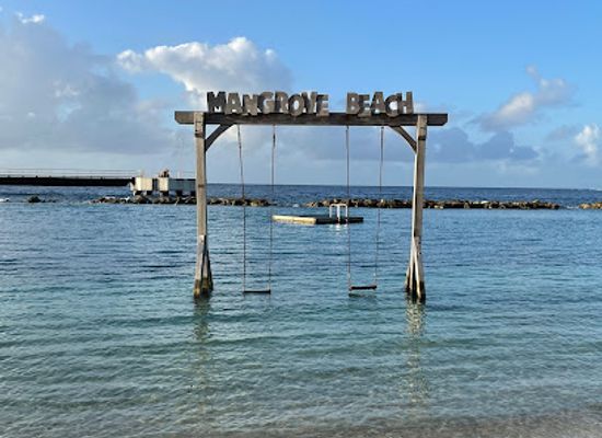 curacao/piscadera/landmark/mangrove-beach-resort-swing