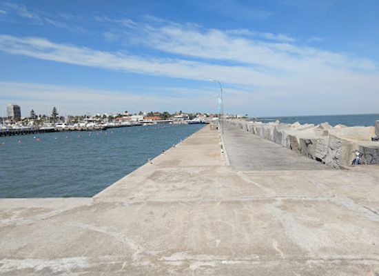 uruguay/metropolitan-area/landmark/puerto-de-punta-del-este