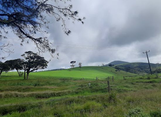 sri-lanka/nuwara-eliya-district/landmark/photo-location-with-wind-power-station