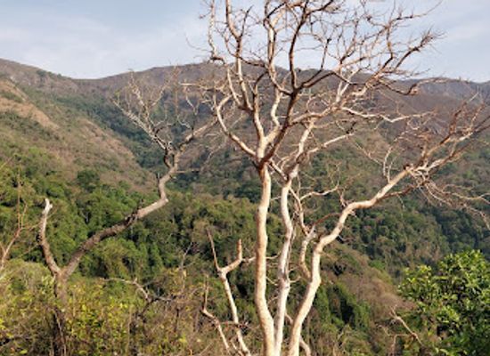 tanzania/mahale-mountains/landmark/gombe-national-park