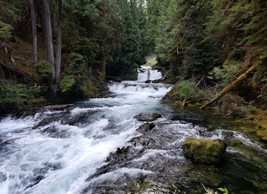 oregon/central-oregon/landmark/sahalie-falls-viewpoint