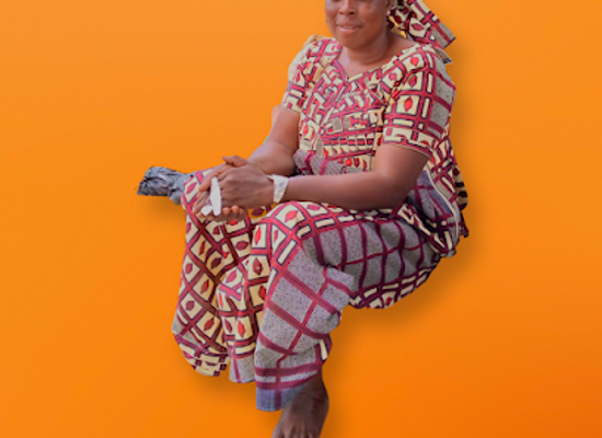 mali/koulikoro-region/landmark/meguetan-infos