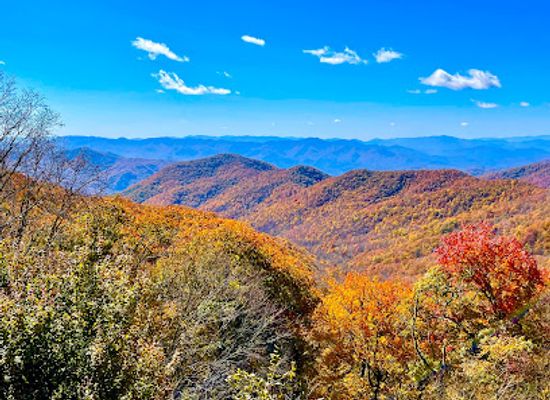 north-carolina/great-smoky-mountains/landmark/bunches-bald-overlook