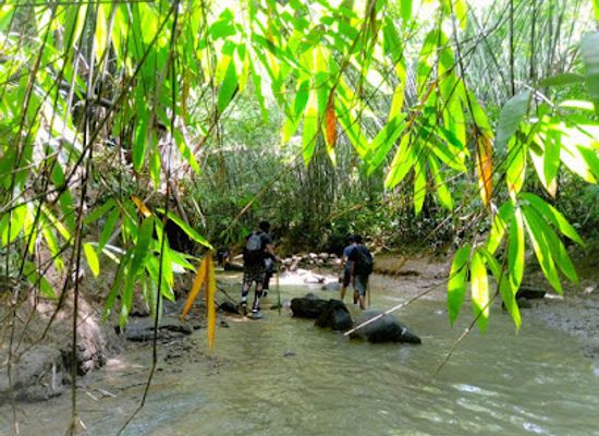 bangladesh/tanguar-haor/landmark/hum-hum-waterfall