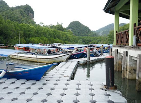malaysia/langkawi/landmark/langkawi-mangrove-tour