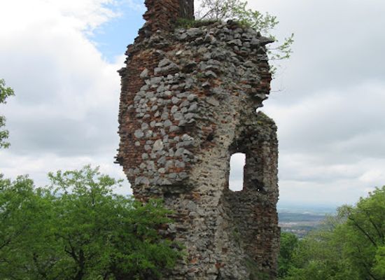 slovakia/zahorie/landmark/pajstun-castle