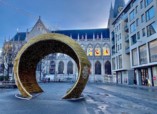 belgium/liege/guillemins/landmark/st-paul-s-cathedral-in-liege