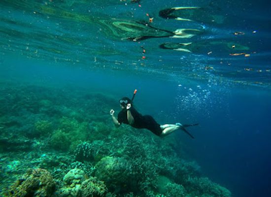 indonesia/pulau-bunaken/landmark/vano-wolok-bunaken-sewa-kapal-bunaken-home-stay-day-tour-diving-and-snorkeling
