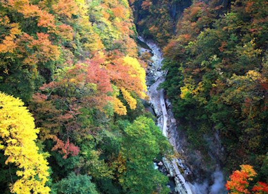 japan/tohoku/landmark/oyasukyo