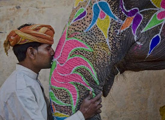 india/jaipur/landmark/elesafari