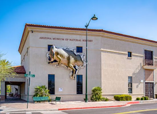 arizona/mesa/landmark/arizona-museum-of-natural-history