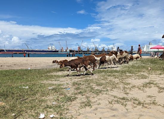 madagascar/toamasina/landmark/toamasina-beach