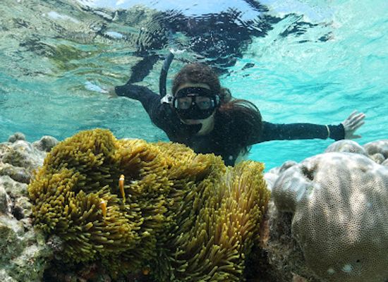 maldives/seenu-atoll/landmark/addu-scuba-club