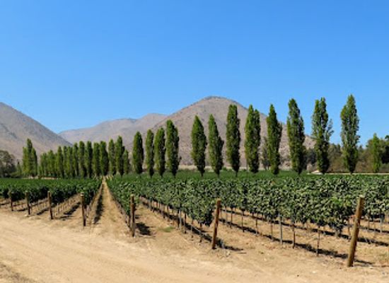 chile/maipo-valley/landmark/vina-santa-rita