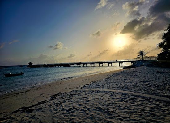 barbados/south-coast/landmark/oistins-fish-market