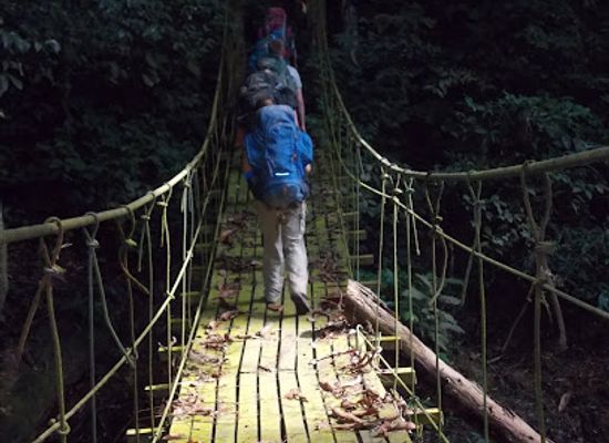 malaysia/taman-negara-national-park/landmark/the-nature-heritage