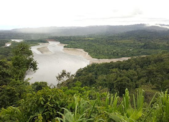 peru/amazonas/landmark/parque-nacional-del-manu