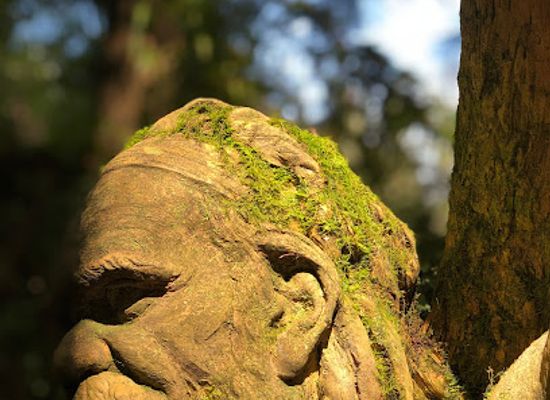 australia/northern-victoria/landmark/william-ricketts-sanctuary