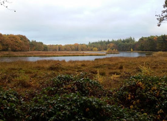 netherlands/gooi/landmark/de-stulp-staatsbosbeheer