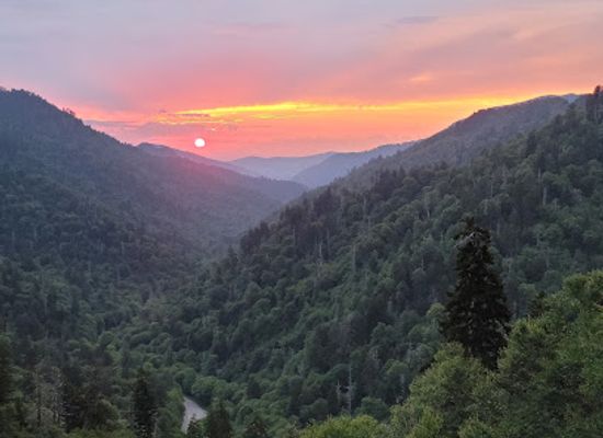 north-carolina/great-smoky-mountains/landmark/ben-morton-overlook