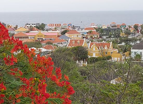 curacao/willemstad/landmark/landhuis-arrarat
