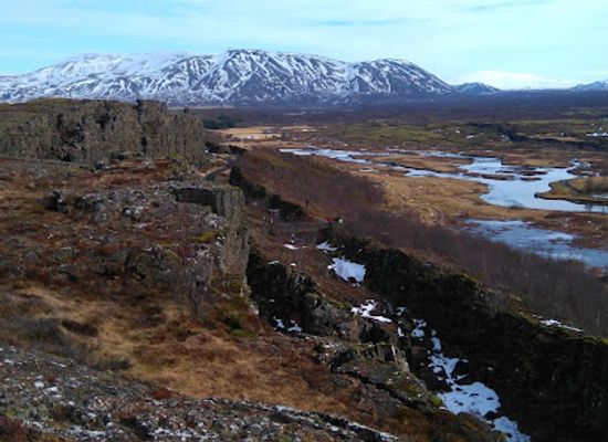iceland/reykjavik-capital-area/landmark/whales-of-iceland