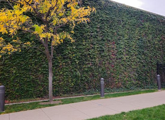 utah/ogden/landmark/ivy-photo-wall