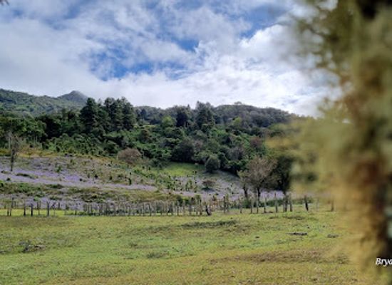 panama/ngabe-bugle-comarca/landmark/sendero-cerro-artilleria
