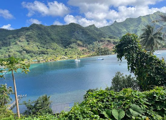 french-polynesia/taha-a/landmark/vanilla-tours