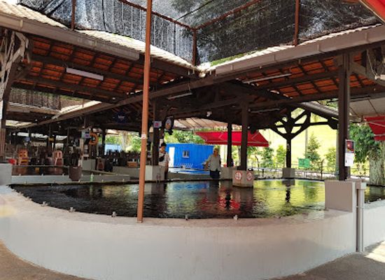singapore/jurong/landmark/atc-fishing-village-jurong-hill