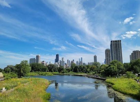 indiana/northwest-indiana/landmark/bridge-over-south-pond