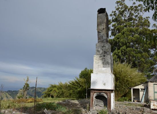 jamaica/cornwall-county/landmark/cinchona-botanical-gardens-ja