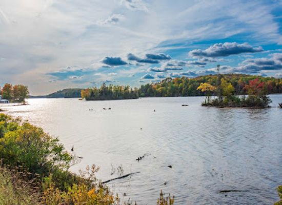 canada/haliburton-highlands/landmark/paudash-lake