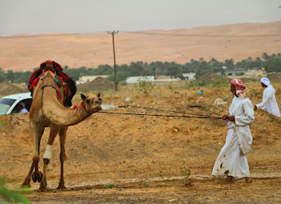 oman/wahiba-sands/landmark/camel-race-ring