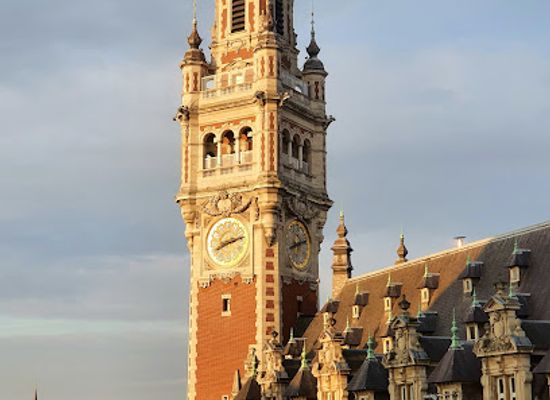 france/lille/landmark/le-vieux-lille