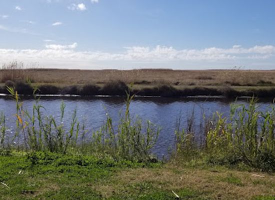 louisiana/sabine-national-wildlife-refuge/landmark/sabine-national-wildlife-refuge-admin-building-and-visitor-contact-station