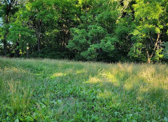 illinois/prairie-state/landmark/sleeth-archeological-site