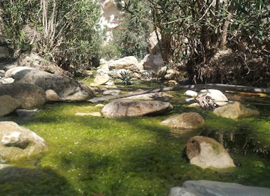 cyprus/adonis-baths-waterfalls/landmark/avakas-gorge-nature-trail