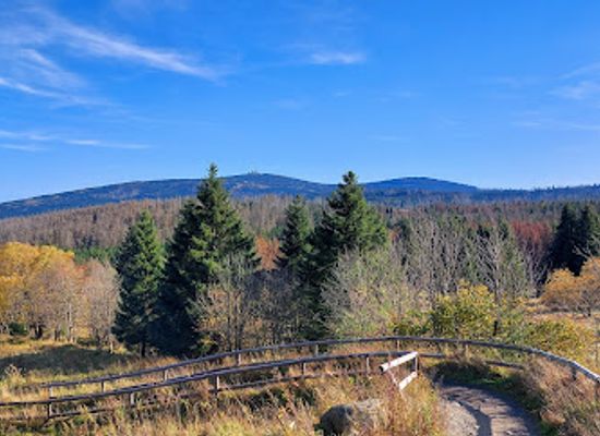 germany/harz-national-park/landmark/torfhausmoor