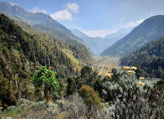 uganda/toro/landmark/rwenzori-mountains-national-park