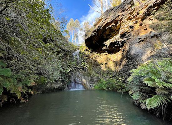 australia/blue-mountains-national-park/landmark/everglades-house-gardens