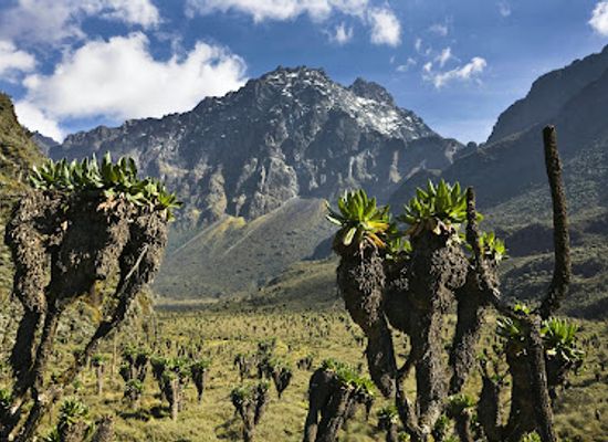 kenya/mount-elgon-national-park/landmark/mount-elgon