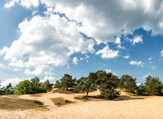 belgium/duchy-of-limburg/landmark/duinengordel-is-deel-van-nationaal-park-hoge-kempen-binnen-rlkm-vzw