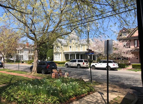 virginia/fredericksburg/landmark/trolley-tours-of-fredericksburg-fredericksburg-virginia