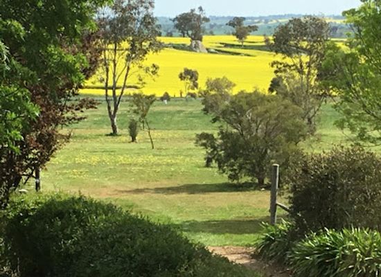 australia/riverina/landmark/canola-trail