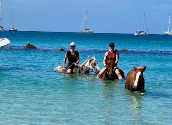saint-lucia/gros-islet-quarter/landmark/dore-s-riding-stables